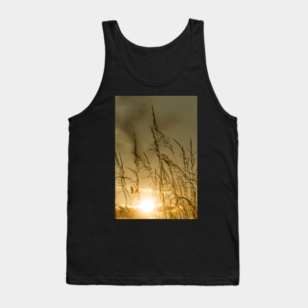 Golden in the Afternoon Tank Top by heidiannemorris